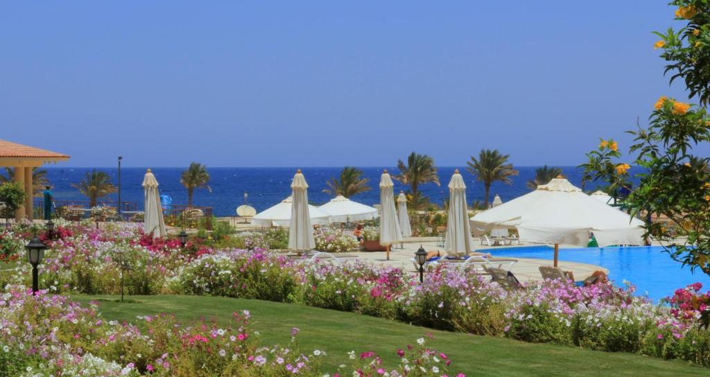 Royal Brayka Beach Resort Abu Dabab Eksteriør billede